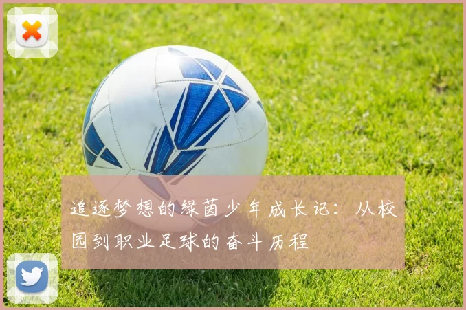 追逐梦想的绿茵少年成长记：从校园到职业足球的奋斗历程