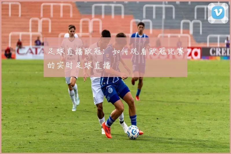 足球直播欧冠：如何观看欧冠比赛的实时足球直播