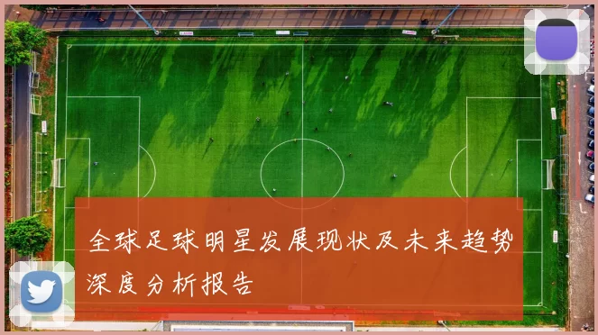 全球足球明星发展现状及未来趋势深度分析报告