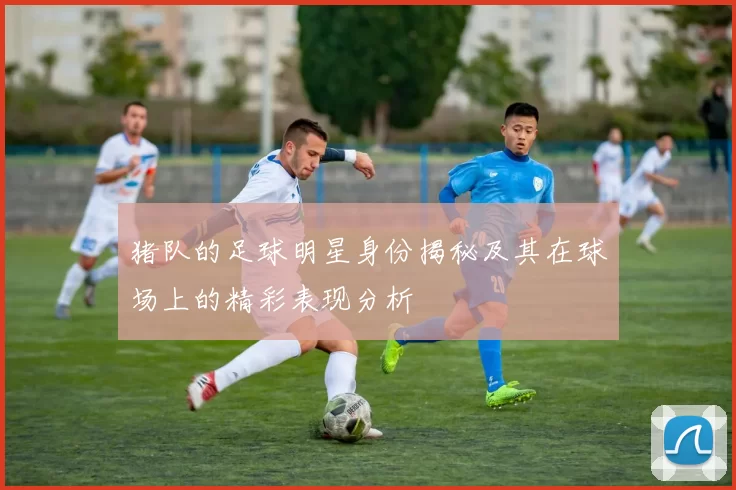 猪队的足球明星身份揭秘及其在球场上的精彩表现分析