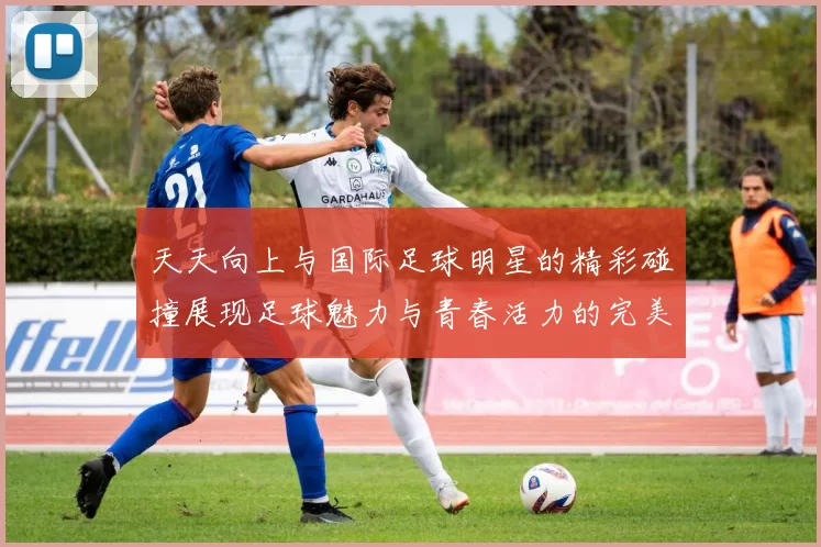 天天向上与国际足球明星的精彩碰撞展现足球魅力与青春活力的完美结合