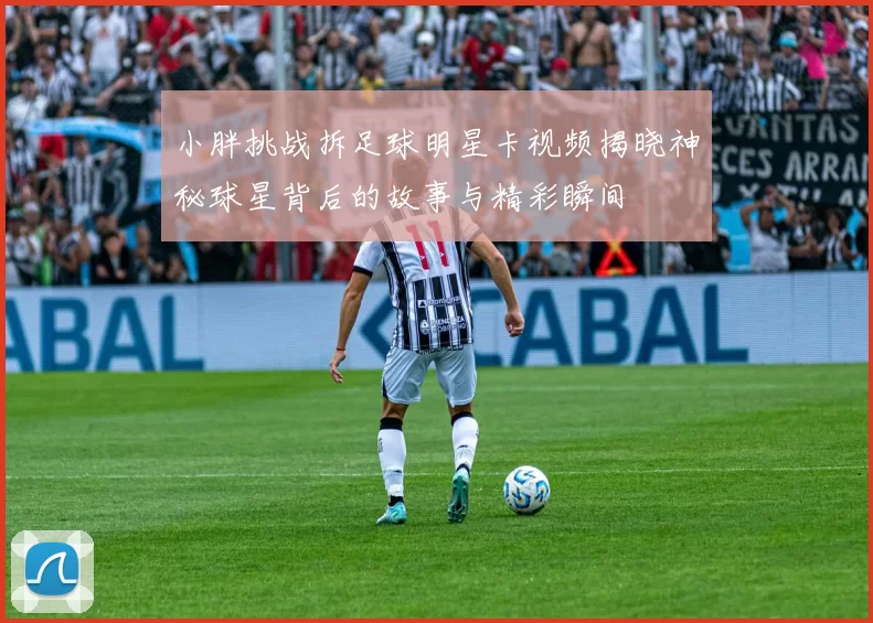 小胖挑战拆足球明星卡视频揭晓神秘球星背后的故事与精彩瞬间