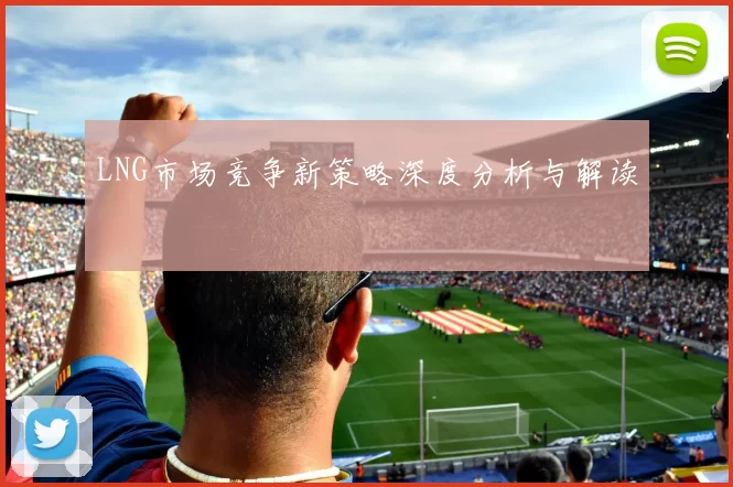 LNG市场竞争新策略深度分析与解读
