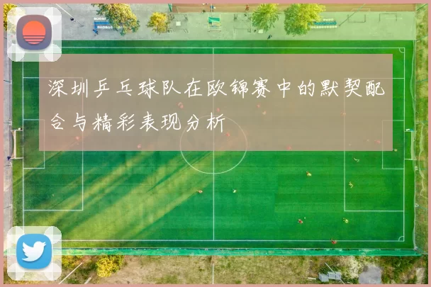 深圳乒乓球队在欧锦赛中的默契配合与精彩表现分析
