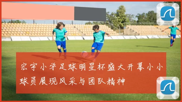 宏宇小学足球明星杯盛大开幕小小球员展现风采与团队精神