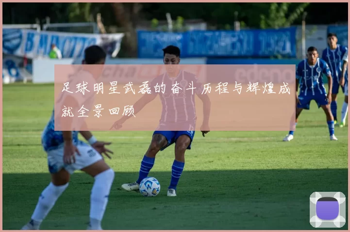 足球明星武磊的奋斗历程与辉煌成就全景回顾
