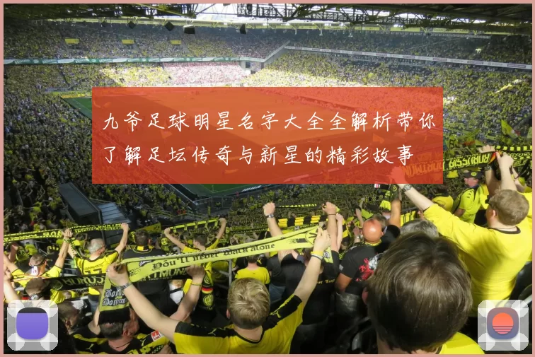 九爷足球明星名字大全全解析带你了解足坛传奇与新星的精彩故事