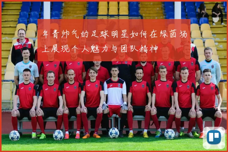 年青帅气的足球明星如何在绿茵场上展现个人魅力与团队精神