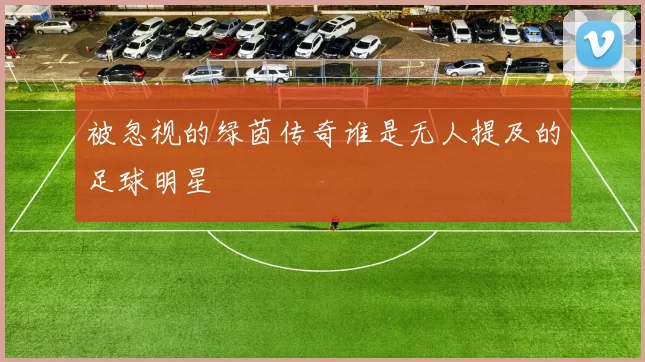 被忽视的绿茵传奇谁是无人提及的足球明星