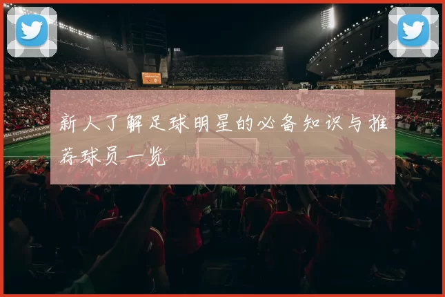 新人了解足球明星的必备知识与推荐球员一览