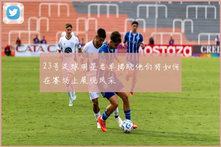 23号足球明星名单揭晓他们将如何在赛场上展现风采