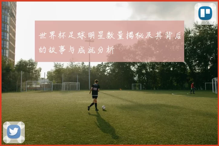 世界杯足球明星数量揭秘及其背后的故事与成就分析