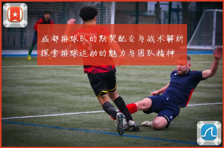 成都排球队的默契配合与战术解析探索排球运动的魅力与团队精神
